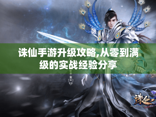 诛仙手游升级攻略,从零到满级的实战经验分享