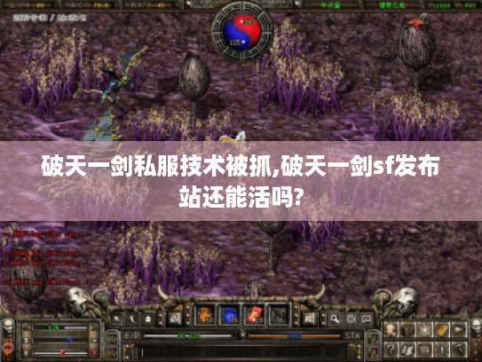破天一剑私服技术被抓,破天一剑sf发布站还能活吗?