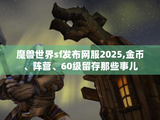 魔兽世界sf发布网服2025,金币、阵营、60级留存那些事儿