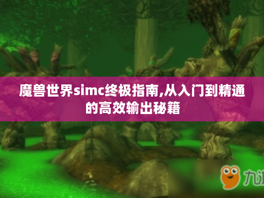 魔兽世界simc终极指南,从入门到精通的高效输出秘籍