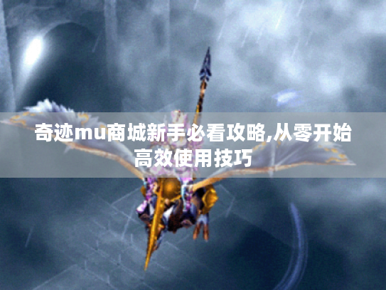 奇迹mu商城新手必看攻略,从零开始高效使用技巧