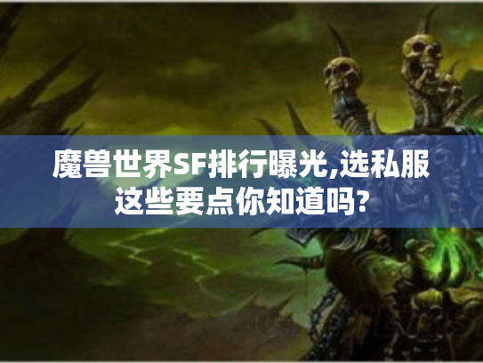 魔兽世界SF排行曝光,选私服这些要点你知道吗?