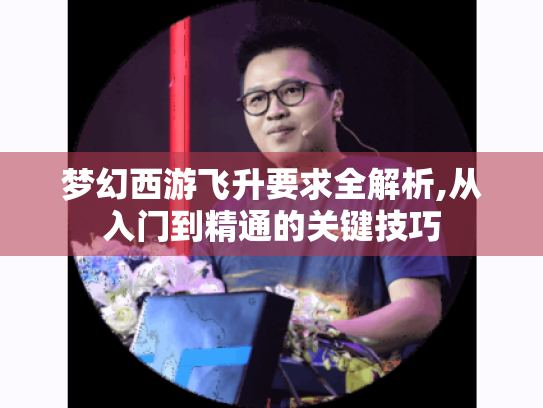 梦幻西游飞升要求全解析,从入门到精通的关键技巧 梦幻西游飞升要求全解析,从入门到精通的关键技巧