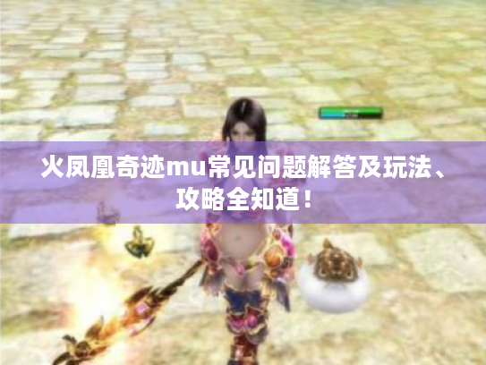 火凤凰奇迹mu常见问题解答及玩法、攻略全知道！