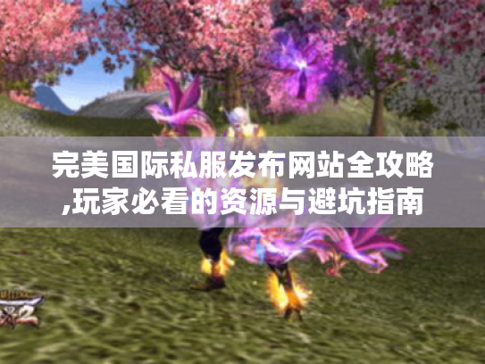 完美国际私服发布网站全攻略,玩家必看的资源与避坑指南