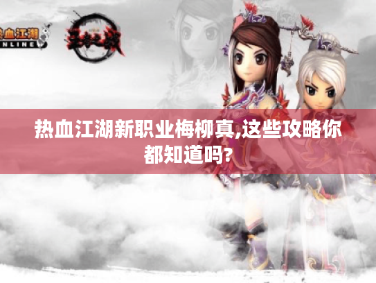 热血江湖新职业梅柳真,这些攻略你都知道吗?