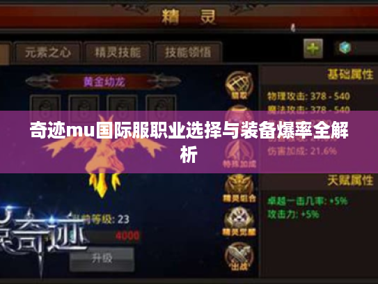 奇迹mu国际服职业选择与装备爆率全解析