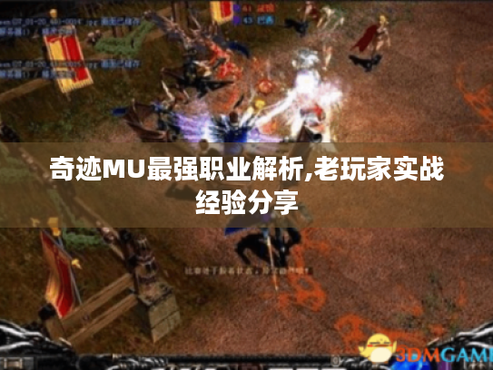 奇迹MU最强职业解析,老玩家实战经验分享 奇迹MU最强职业解析,老玩家实战经验分享
