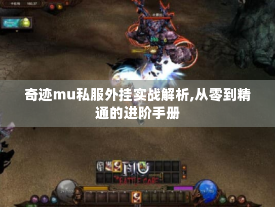 奇迹mu私服外挂实战解析,从零到精通的进阶手册