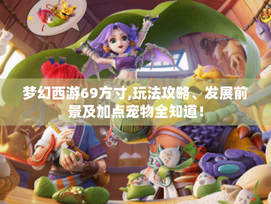梦幻西游69方寸,玩法攻略、发展前景及加点宠物全知道！
