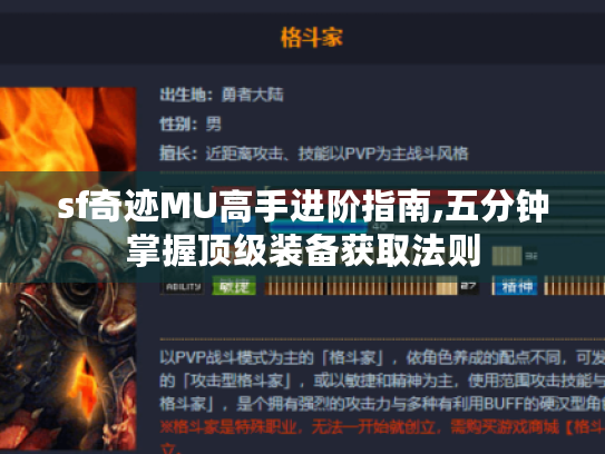 sf奇迹MU高手进阶指南,五分钟掌握顶级装备获取法则