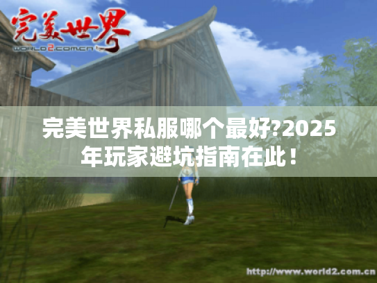 完美世界私服哪个最好?2025年玩家避坑指南在此！
