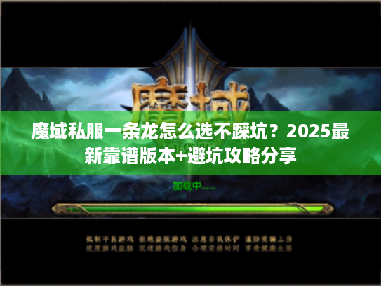 魔域私服一条龙怎么选不踩坑？2025最新靠谱版本+避坑攻略分享