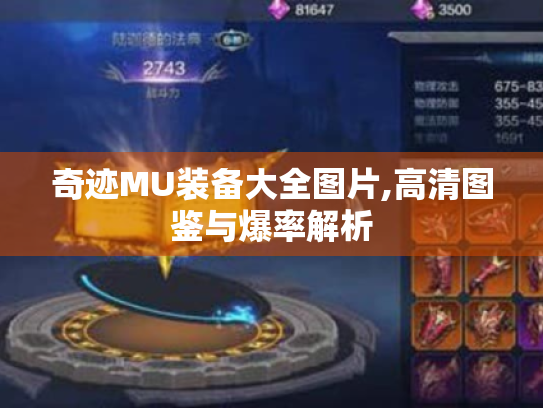 奇迹MU装备大全图片,高清图鉴与爆率解析