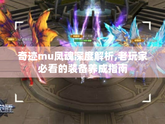 奇迹mu凤魂深度解析,老玩家必看的装备养成指南