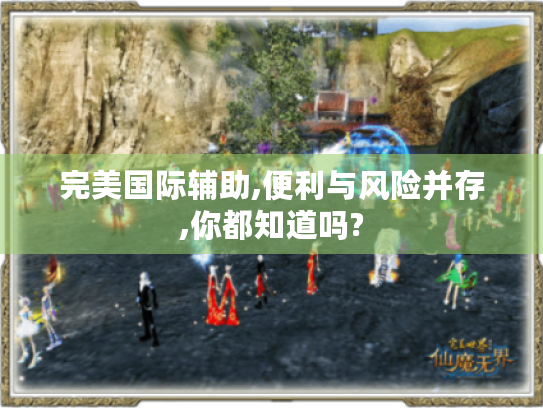 完美国际辅助,便利与风险并存,你都知道吗?