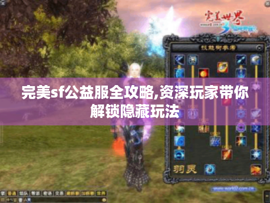 完美sf公益服全攻略,资深玩家带你解锁隐藏玩法