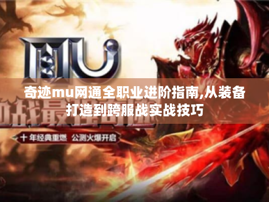 奇迹mu网通全职业进阶指南,从装备打造到跨服战实战技巧
