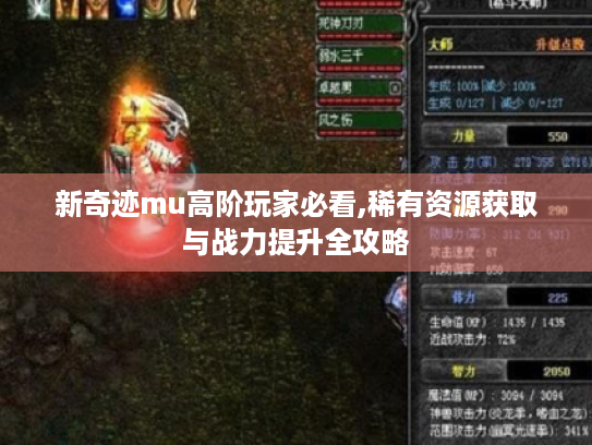新奇迹mu高阶玩家必看,稀有资源获取与战力提升全攻略