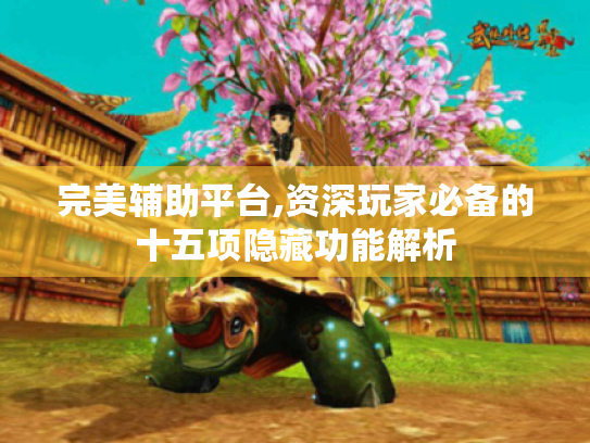 完美辅助平台,资深玩家必备的十五项隐藏功能解析 完美辅助平台,资深玩家必备的十五项隐藏功能解析