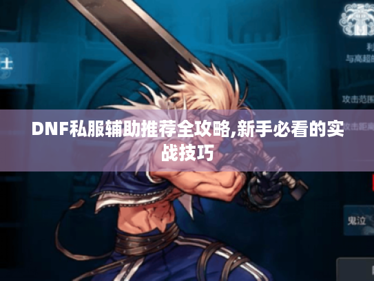 DNF私服辅助推荐全攻略,新手必看的实战技巧