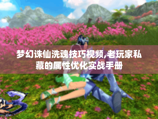 梦幻诛仙洗魂技巧视频,老玩家私藏的属性优化实战手册