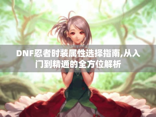 DNF忍者时装属性选择指南,从入门到精通的全方位解析