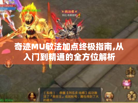 奇迹MU敏法加点终极指南,从入门到精通的全方位解析 奇迹MU敏法加点终极指南,从入门到精通的全方位解析