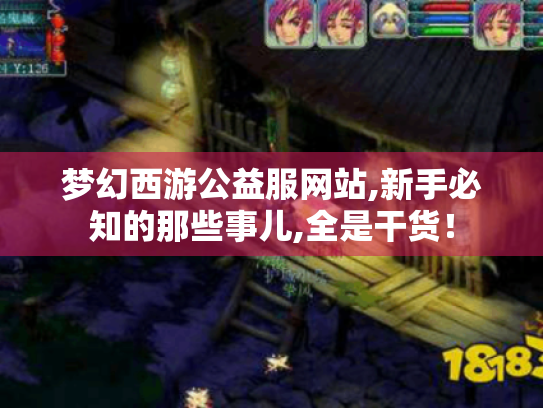 梦幻西游公益服网站,新手必知的那些事儿,全是干货！