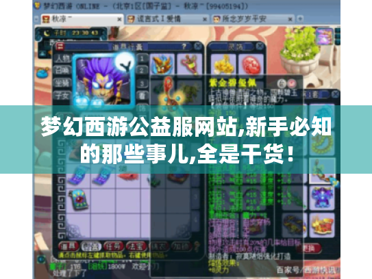 梦幻西游公益服网站,新手必知的那些事儿,全是干货！