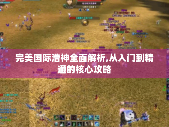 完美国际浩神全面解析,从入门到精通的核心攻略