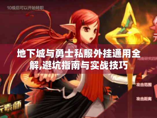 地下城与勇士私服外挂通用全解,避坑指南与实战技巧