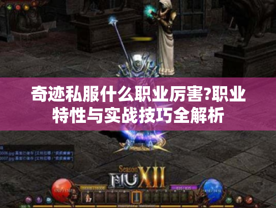 奇迹私服什么职业厉害?职业特性与实战技巧全解析