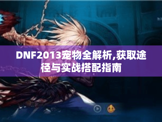 DNF2013宠物全解析,获取途径与实战搭配指南 DNF2013宠物全解析,获取途径与实战搭配指南