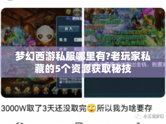 梦幻西游私服哪里有?老玩家私藏的5个资源获取秘技