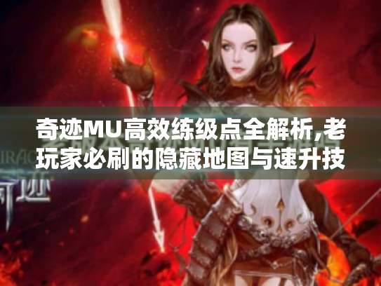 奇迹MU高效练级点全解析,老玩家必刷的隐藏地图与速升技巧