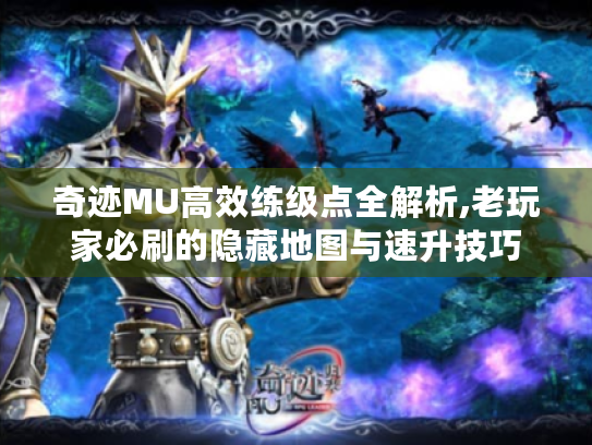奇迹MU高效练级点全解析,老玩家必刷的隐藏地图与速升技巧