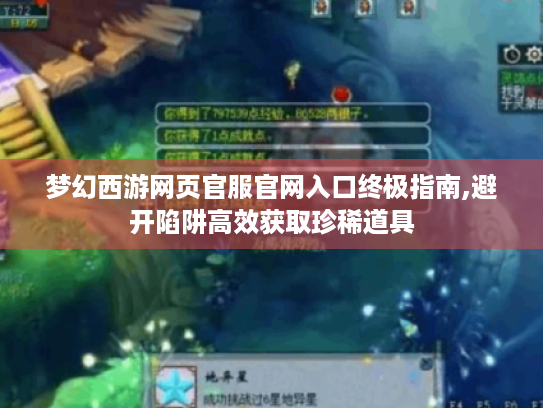梦幻西游网页官服官网入口终极指南,避开陷阱高效获取珍稀道具