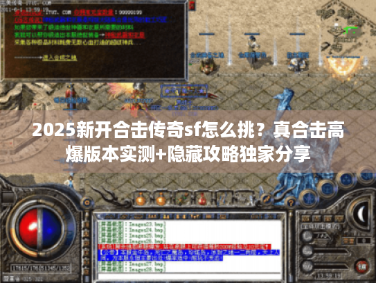 2025新开合击传奇sf怎么挑?真合击高爆版本实测+隐藏攻略独家分享 2025新开合击传奇sf怎么挑?真合击高爆版本实测+隐藏攻略独家分享