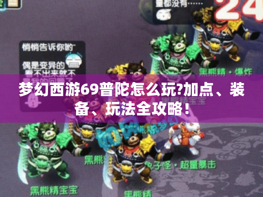 梦幻西游69普陀怎么玩?加点、装备、玩法全攻略！