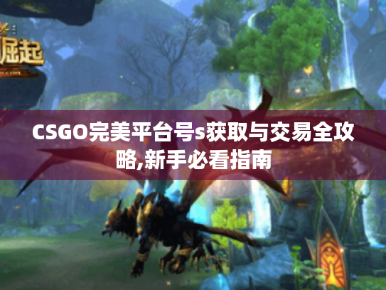 CSGO完美平台号s获取与交易全攻略,新手必看指南