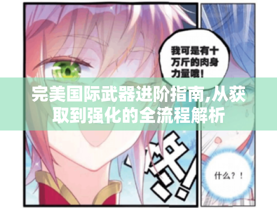 完美国际武器进阶指南,从获取到强化的全流程解析 完美国际武器进阶指南,从获取到强化的全流程解析