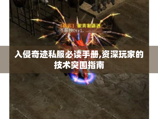 入侵奇迹私服必读手册,资深玩家的技术突围指南