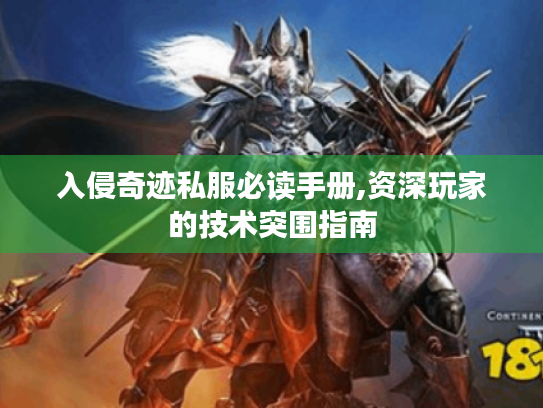 入侵奇迹私服必读手册,资深玩家的技术突围指南