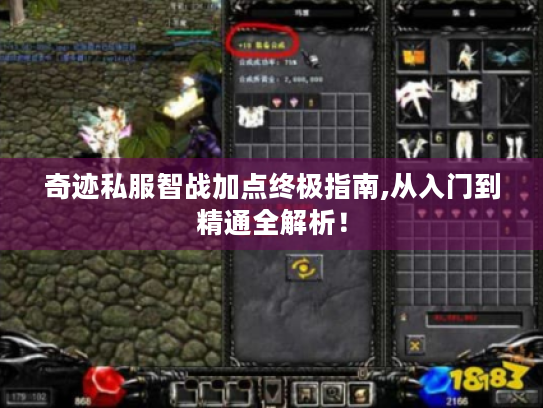 奇迹私服智战加点终极指南,从入门到精通全解析! 奇迹私服智战加点终极指南,从入门到精通全解析!