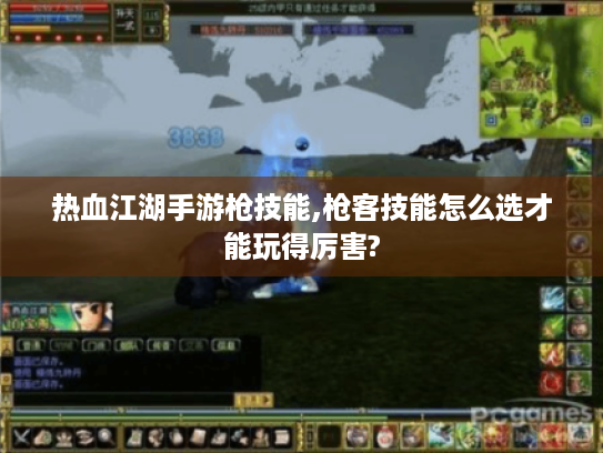 热血江湖手游枪技能,枪客技能怎么选才能玩得厉害?