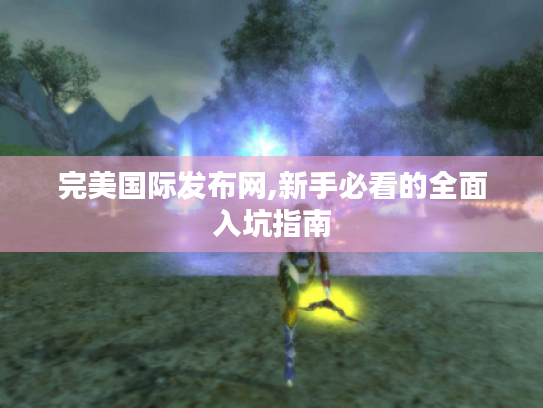 完美国际发布网,新手必看的全面入坑指南