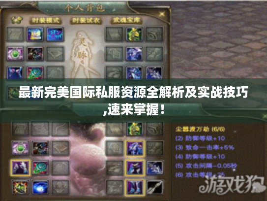 最新完美国际私服资源全解析及实战技巧,速来掌握！