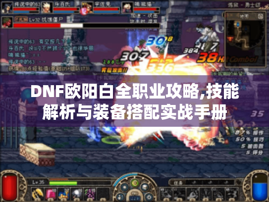 DNF欧阳白全职业攻略,技能解析与装备搭配实战手册