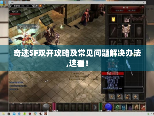 奇迹SF双开攻略及常见问题解决办法,速看！